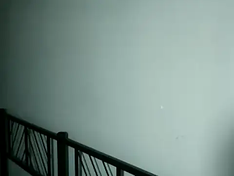 100Tauros online show from November 13, 10:30 pm