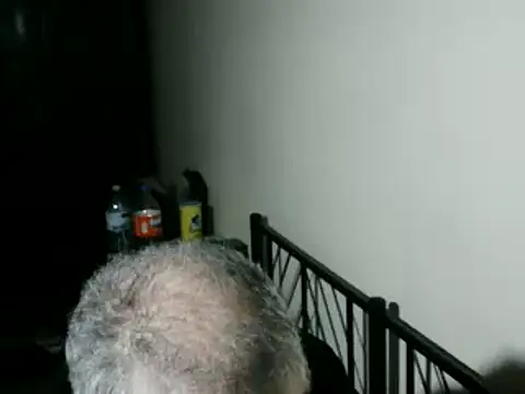 100Tauros online show from February 5, 10:36 pm