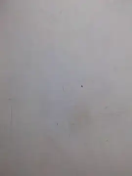 AmnionicDemeanor online show from October 31, 4:24 am