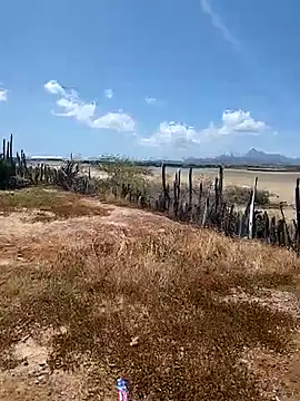 daniel traviexxxo online show from October 12, 5:12 pm