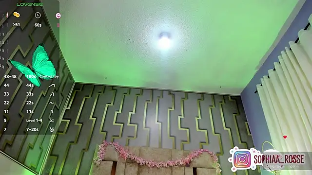 Deni rose online show from February 11, 8:14 pm