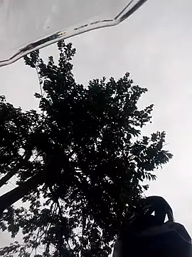 Snapshot of drencho0729 chatting on February 18, 1:51 pm drencho0729 online show from February 18, 1:51 pm