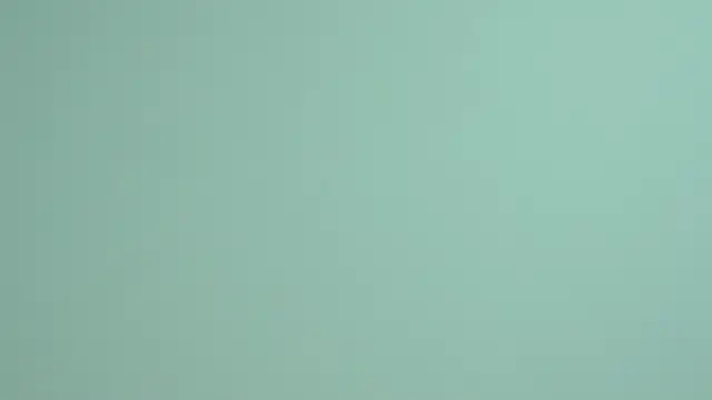 LessySmith online show from November 21, 4:05 pm