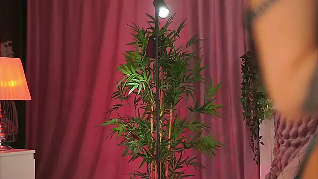 Snapshot of Evelyn_Evyyy chatting on February 9, 7:19 pm Evelyn Evyyy online show from February 9, 7:19 pm