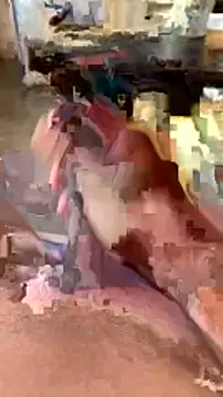 elber-gdo online show from February 5, 10:55 pm