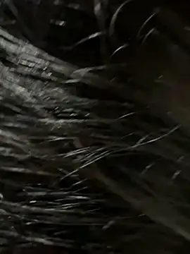 elber-gdo online show from February 9, 4:14 am