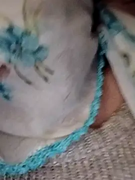 Snapshot of _BaHaR_ chatting on September 21, 8:16 am BaHaR online show from September 21, 8:16 am