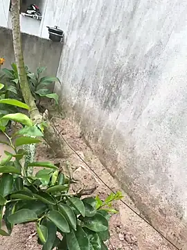 Snapshot of king_cum_ chatting on February 18, 2:24 pm king cum online show from February 18, 2:24 pm