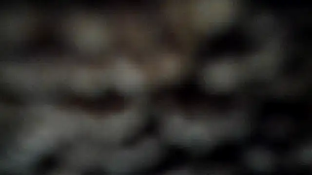 leatherz69 online show from March 7, 4:02 am