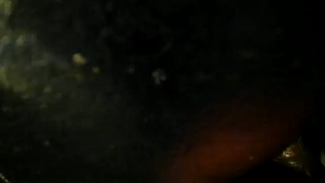 leatherz69 online show from May 22, 2:40 am