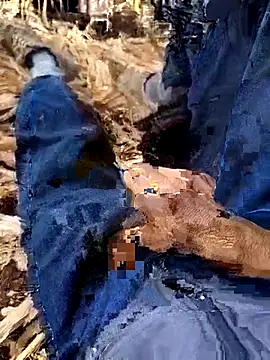 murokkk31 online show from December 4, 8:34 am