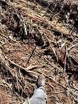 murokkk31 online show from December 14, 8:41 am