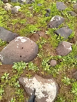 murokkk31 online show from April 3, 9:29 am