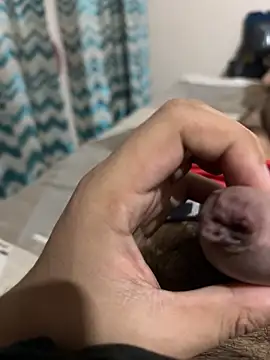 thecockybouy online show from March 1, 4:37 am