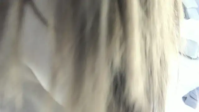 celestica rose online show from February 2, 10:30 pm