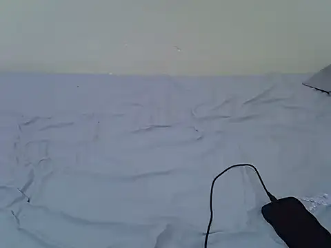 Snapshot of tasty_piee chatting on October 25, 4:42 am tasty piee online show from October 25, 4:42 am