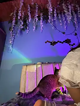 Lily candy X online show from March 3, 5:24 am