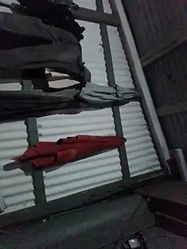 Snapshot of Algenis1232 chatting on November 4, 7:29 am Algenis1232 online show from November 4, 7:29 am