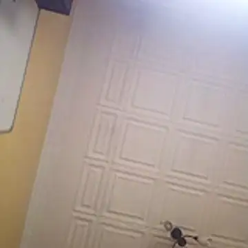 wlammi ptr online show from January 19, 10:41 am