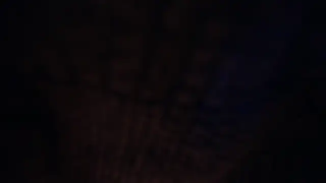 LureLily online show from December 21, 10:11 am