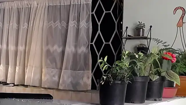 Snapshot of peyton_golden1 chatting on January 16, 6:35 am peyton golden1 online show from January 16, 6:35 am