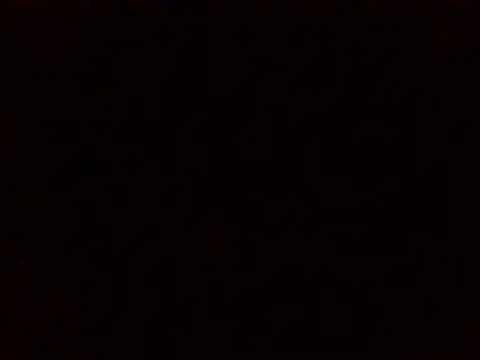 XXXdonXXX online show from February 14, 8:00 am