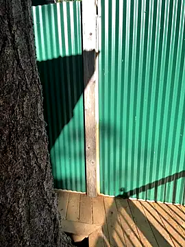 twist699 online show from November 4, 6:07 pm