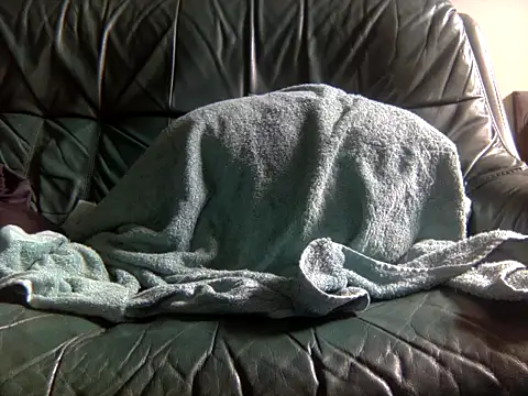 kimbo500 online show from February 13, 9:05 am