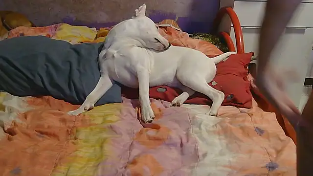 couplemilf2 online show from December 6, 11:25 pm