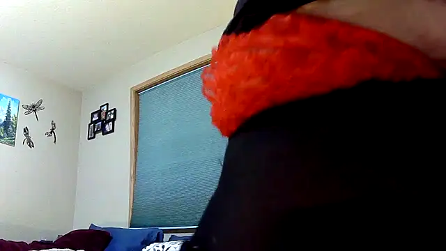 Snapshot of lilyhornyhousewife chatting on December 23, 10:55 pm lilyhornyhousewife online show from December 23, 10:55 pm