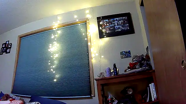 Snapshot of lilyhornyhousewife chatting on December 24, 1:59 am lilyhornyhousewife online show from December 24, 1:59 am