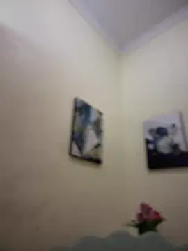 Snapshot of MaverickGray chatting on January 26, 4:41 pm MaverickGray online show from January 26, 4:41 pm