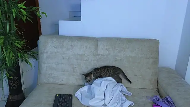 Lorenne Miller online show from October 22, 5:08 am