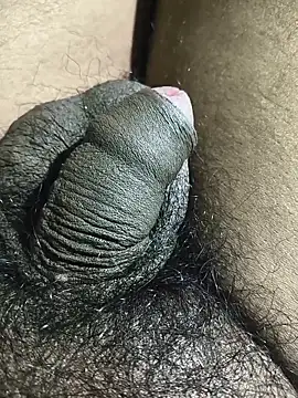 rajrahulovi online show from February 14, 5:21 pm