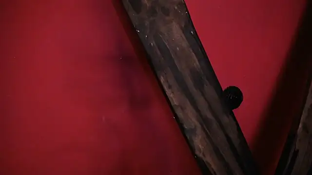 EVADANGERBDSM online show from February 14, 3:05 pm