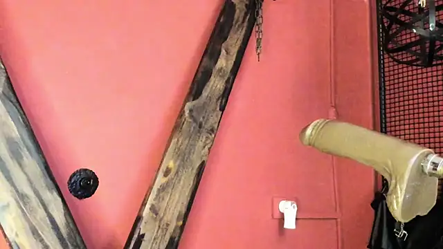 EVADANGERBDSM online show from February 28, 11:58 am