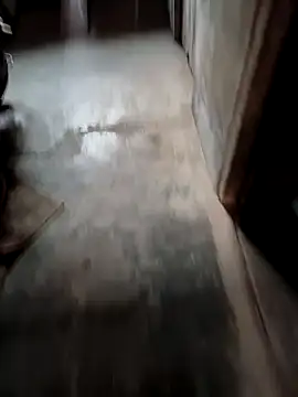 Snapshot of biharihotlund chatting on February 20, 2:29 am biharihotlund online show from February 20, 2:29 am