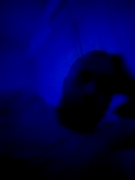 Snapshot of HELL_FIRE chatting on September 30, 5:23 am HELL FIRE online show from September 30, 5:23 am