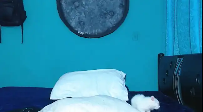 Dirtymatthew online show from February 10, 6:03 pm