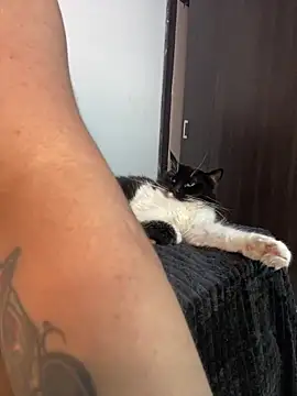 Leahstonee2 online show from February 12, 12:05 am