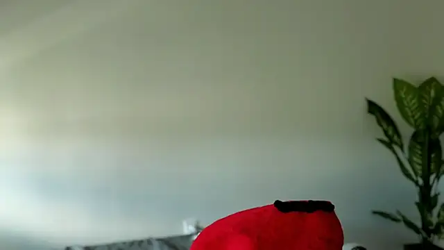 Snapshot of Sapphir3xoxo chatting on September 24, 3:15 pm Sapphir3xoxo online show from September 24, 3:15 pm