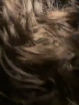 eva y marcelo online show from February 15, 11:03 pm