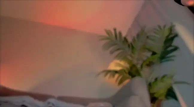  cherry bloss  online show from March 21, 5:21 am