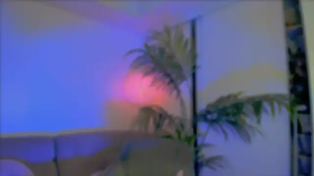  cherry bloss  online show from October 8, 2:20 am