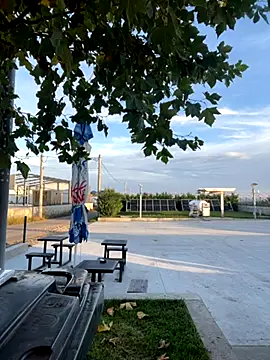 baramadalin online show from October 26, 5:24 am