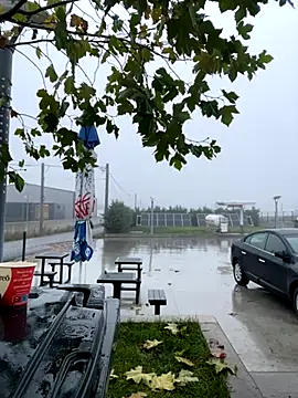 baramadalin online show from November 21, 5:28 am