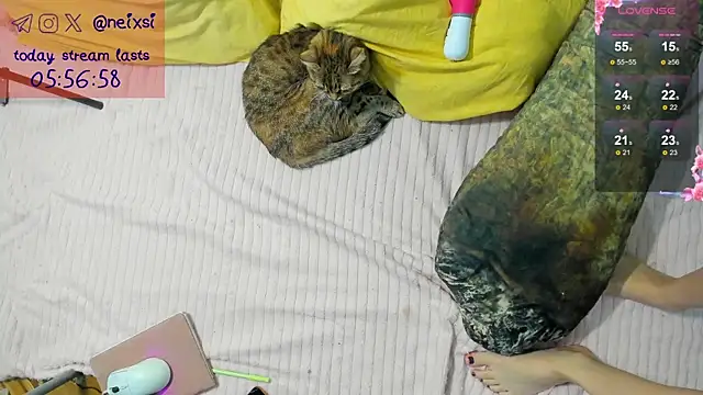 ixsi online show from October 23, 7:40 am