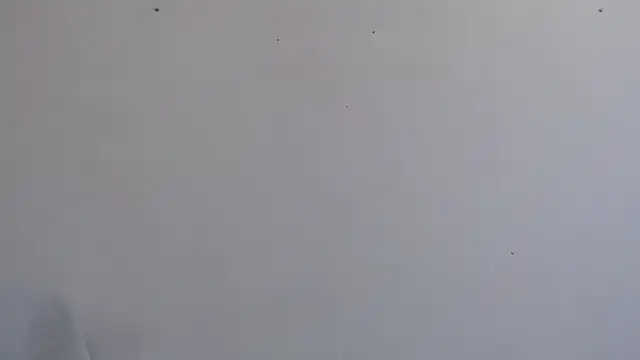 Snapshot of Niurca01_ chatting on September 26, 3:49 pm Niurca01 online show from September 26, 3:49 pm