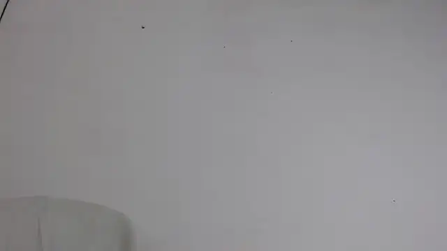 Snapshot of Niurca01_ chatting on October 5, 10:51 pm Niurca01 online show from October 5, 10:51 pm