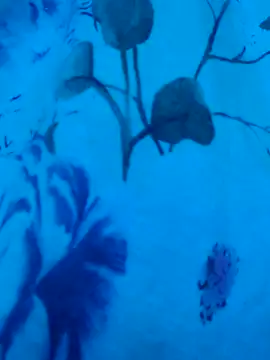 Snapshot of gurlnips chatting on September 19, 6:37 am gurlnips online show from September 19, 6:37 am